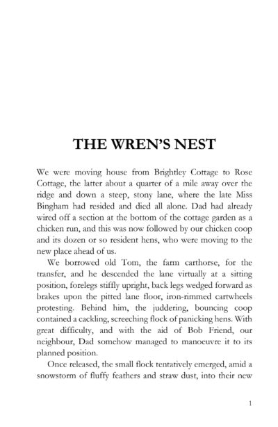 Wren's Nest - and other stories by Allan Boxall - Image 6