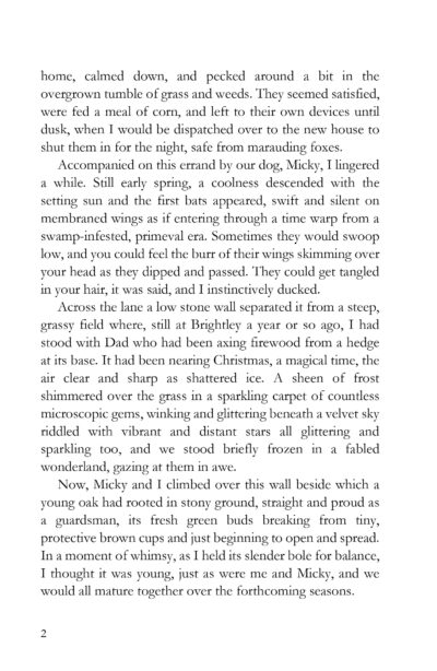 Wren's Nest - and other stories by Allan Boxall - Image 7