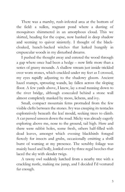 Wren's Nest - and other stories by Allan Boxall - Image 8