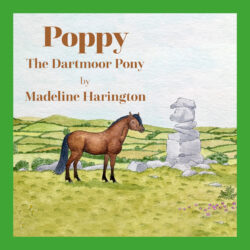 Poppy the Dartmoor Pony - by Madeline Harington